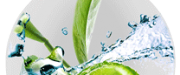 companies/12336/logo.png
