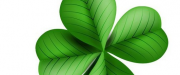 companies/12925/logo.png