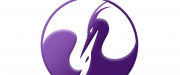 companies/13349/logo.png