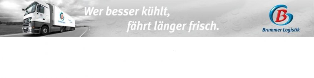 Brummer Logistik GmbH
