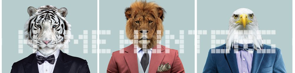 HOME Hunters Praha, s.r.o.