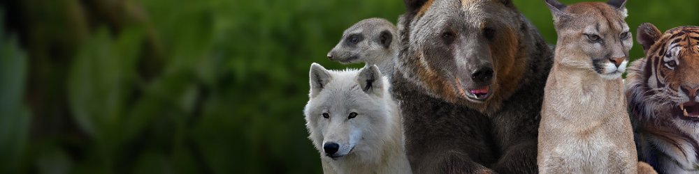 Zoologická zahrada Tábor, a.s.