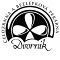 David Dvorník
